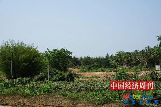 ָĻĵڻܴ|?j)̎Ї?gu)(jng)(j)ܿӛ Z(gu)(qing) | z