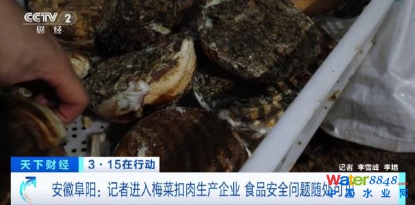 (zh)F(xin)ع⣡ȳˮM……