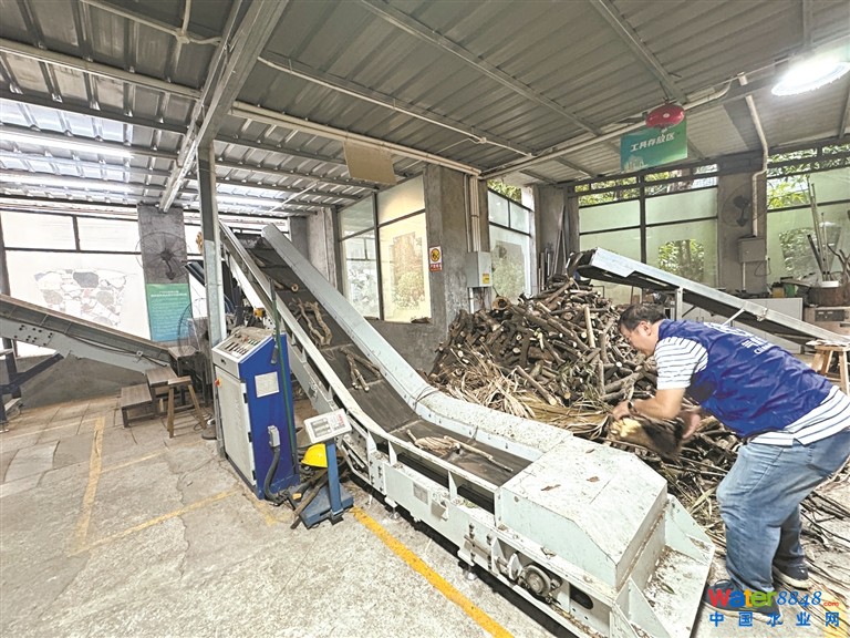 12791883_zhangjing_1729434186039_s